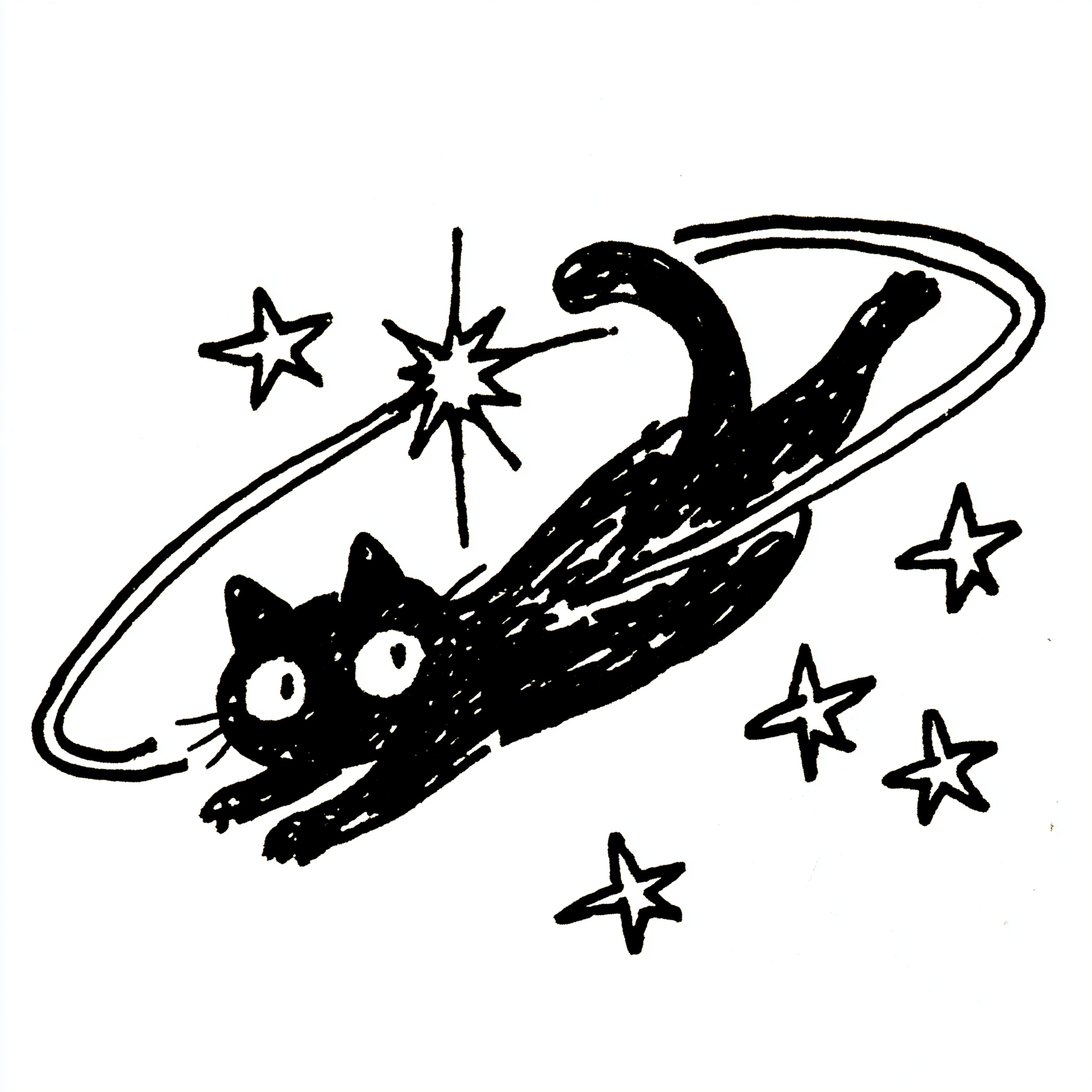 Cosmic Falling Black Cat