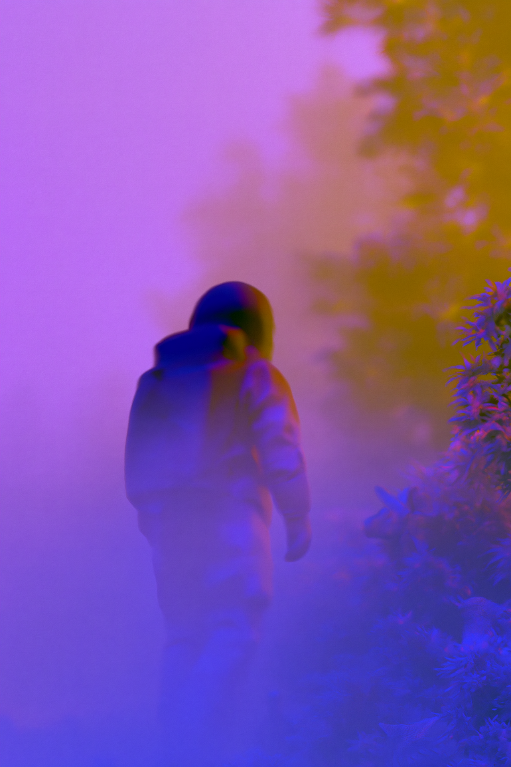 Astronaut in an Enchanted Fantasy World