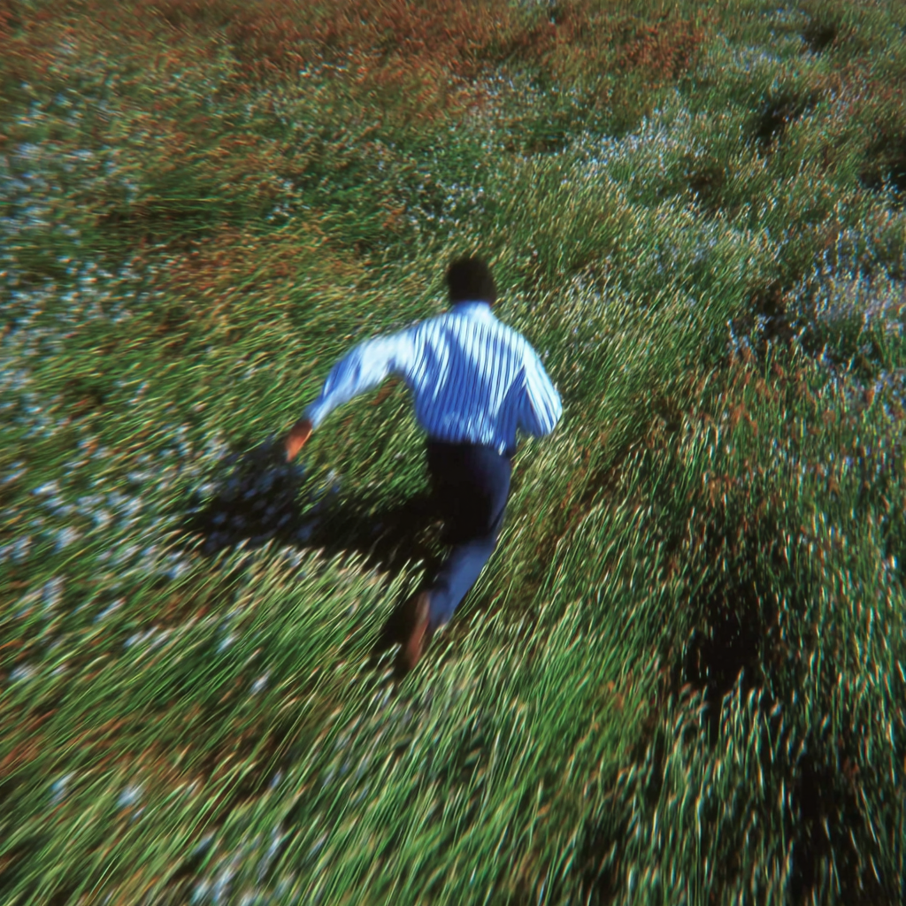 Hand Brushing through a Green Wheat Field