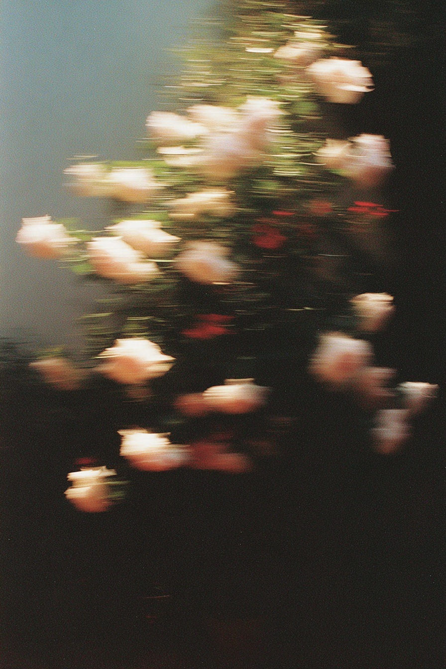 Rose-Covered Tree in Wide-Angle Photography