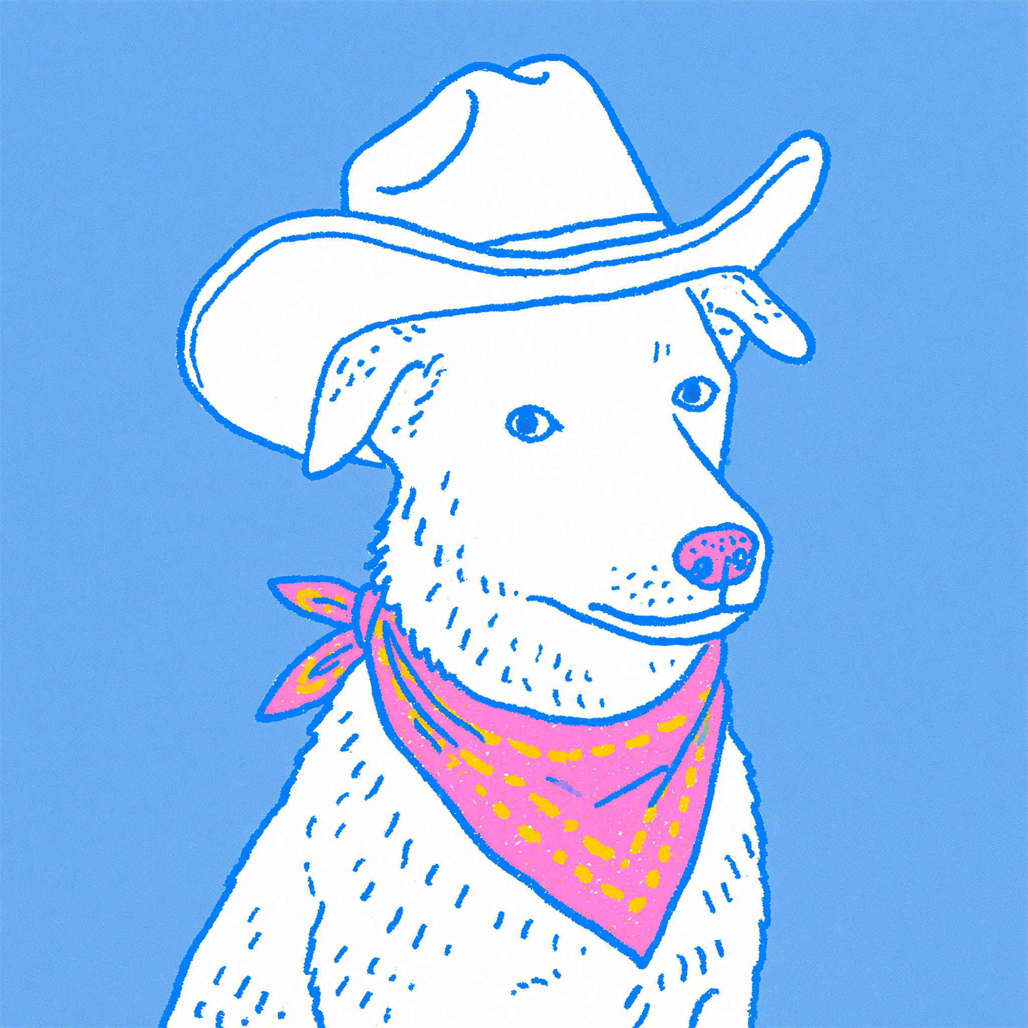 Bandit Dog in a Cowboy Hat
