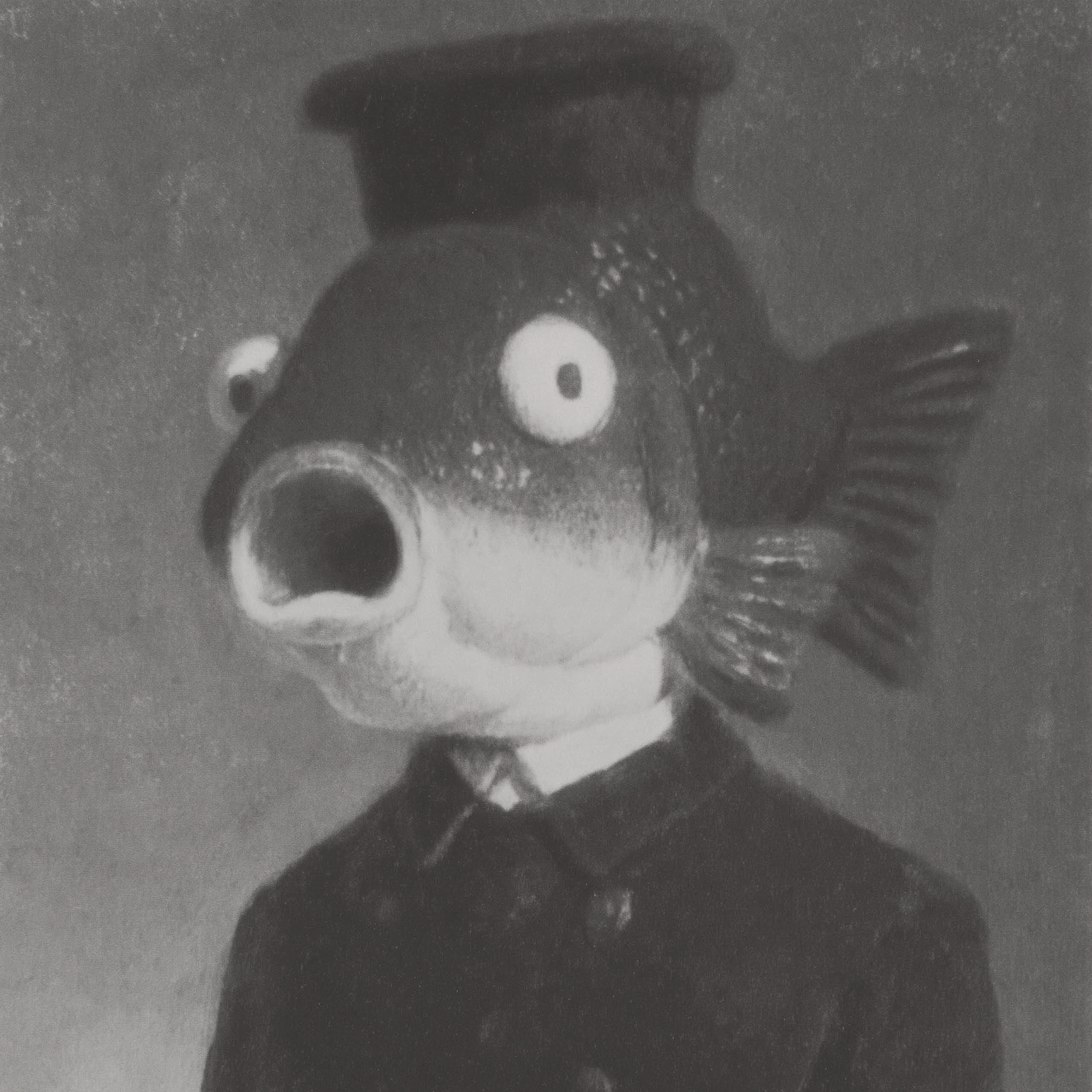 Seltsamer lustiger Goldfischmann