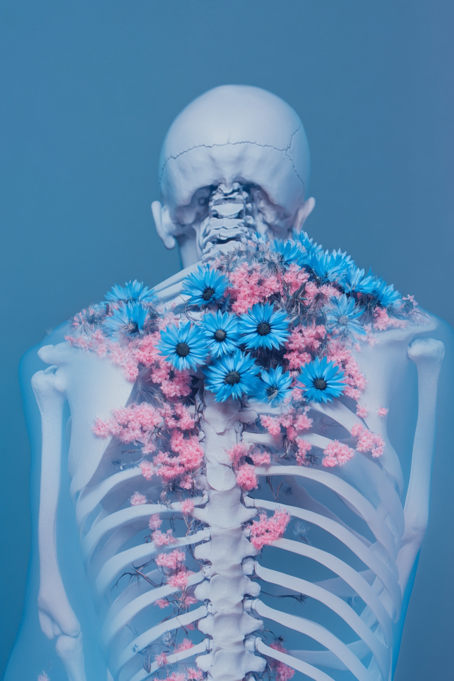 Blaue Kornblumen wachsen durch einen Brustkorb