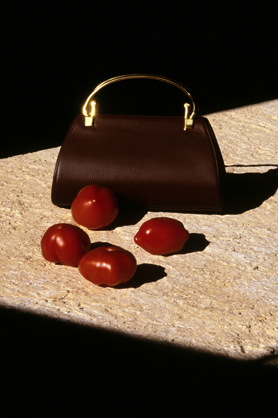 Dark Caramel Handbag in Spanish Sunlight